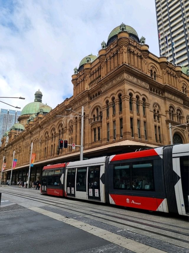 호주 시드니 타운홀을 따라 걷는 거리🇦🇺