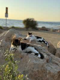 Beautiful sunset in Paphos (Cyprus)