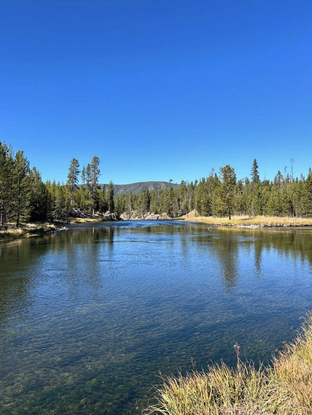 Yellowstone 🌴🏕️