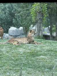 北京動物園