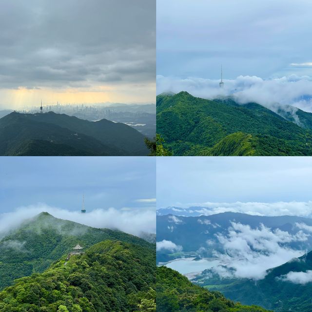 梧桐山的奇幻漂流，我竟然被「山」迷住了！。