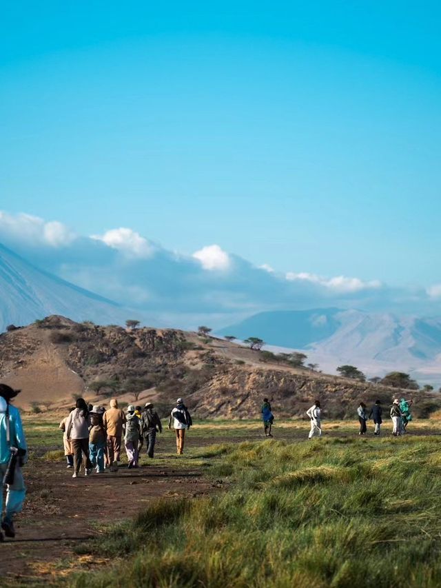 Exploring Serengeti National Park: A Wildlife Wonderland