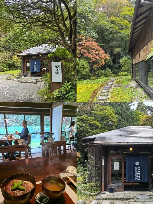 Exploring Nikko's World Heritage Sites: Two Shrines and One Temple