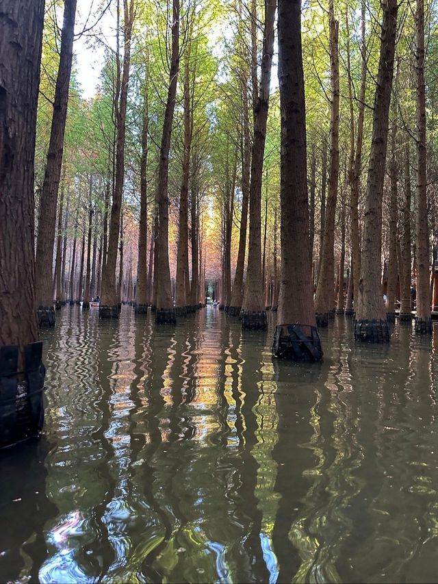 小眾寶藏，撈河漁濕地公園。