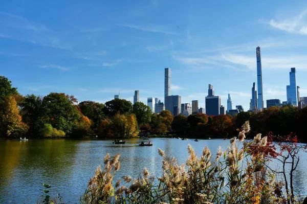 Autumn in New York City 🍂