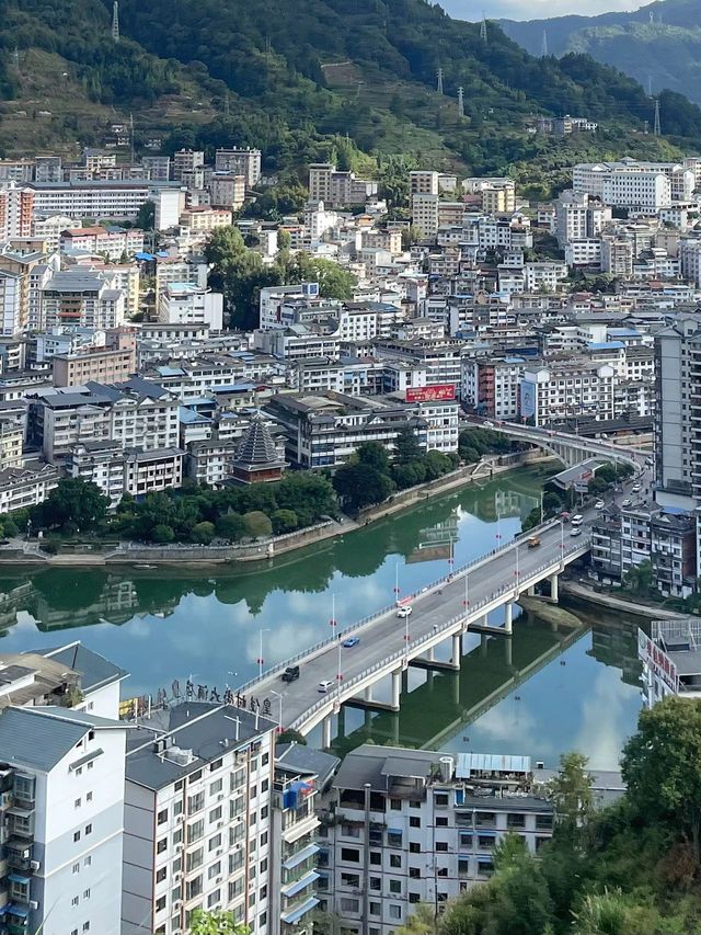 冬日龍勝錯過就等一年別留遺憾。