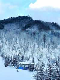 主打聽勸沒去雪鄉改去了雪谷和霧凇嶺雪山