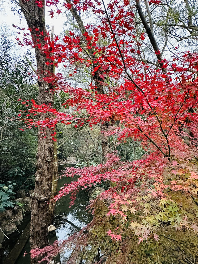 鐘山風景區