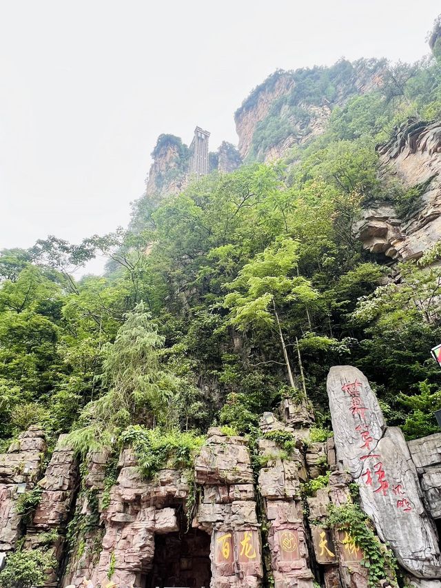 寒假暢遊長沙-張家界-天門山 超詳細攻略來襲