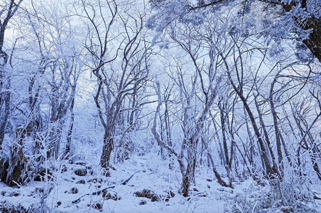 【雪域峨眉】冬季峨眉山，探秘冰雪世界的佛教聖地