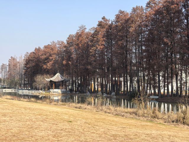 充盈生命活力之金銀湖濕地公園