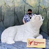 A Touch With Wildlife- SG Zoo !