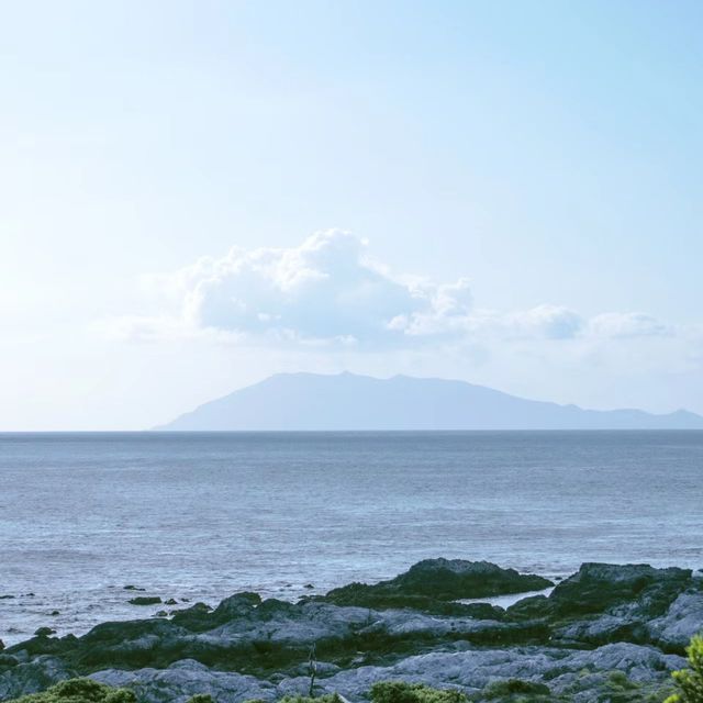 大自然的奇幻王國🔱屋久島 🌿🏞️🌊 