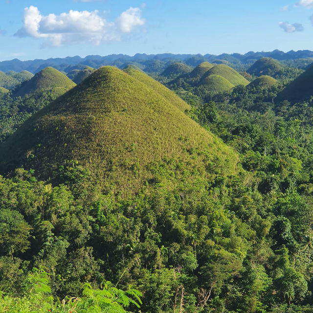 Bohol chocolate hills 