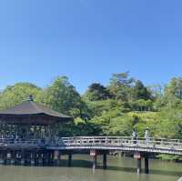 Nara one day trip