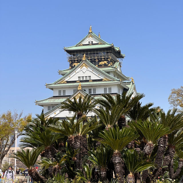 Stepping into History: My Adventure at the Majestic Osaka Castle!