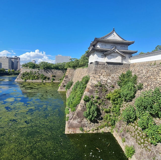 Osaka Castle - A Historical Gem!