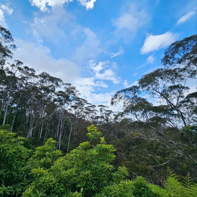 Stunning Views at Echo Point Lookout