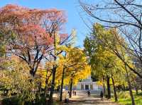 A Stroll Through History at Osaka Castle Park