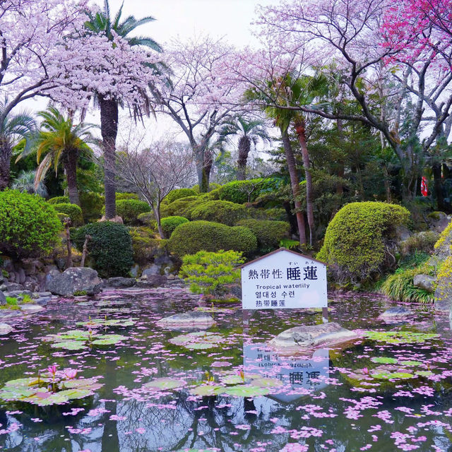 《探索福岡的綠洲——舞鶴公園之旅》