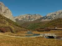 Best Autumn Viewing Experience 1/3 [Luorong Pasture, Yading Nature Reserve]