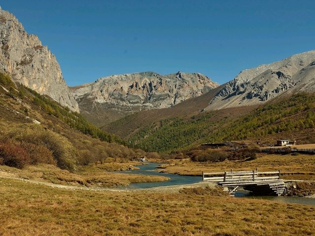 Best Autumn Viewing Experience 1/3 [Luorong Pasture, Yading Nature Reserve]