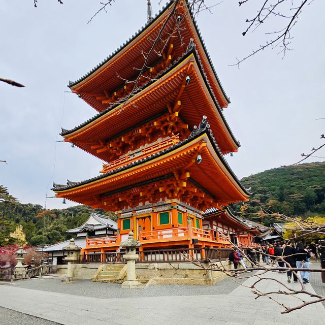 Vibrant Yasaka Shrine: Kyoto's Iconic Landmark