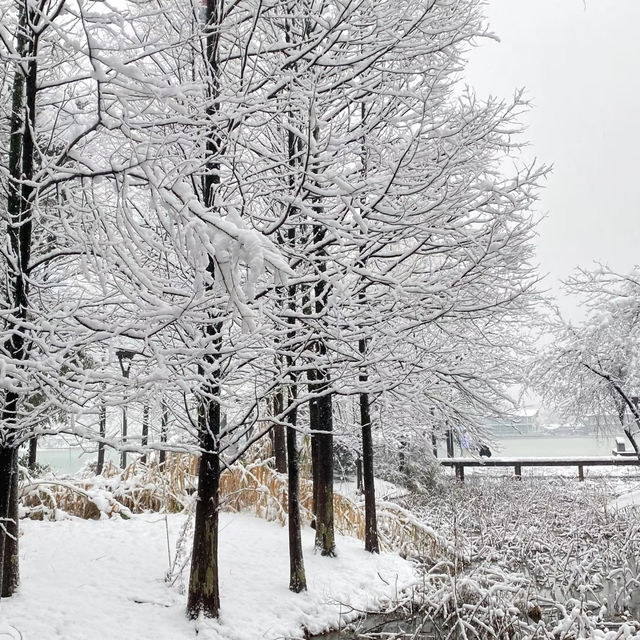 南湖公園：冬日仙境 ❄️🏞️