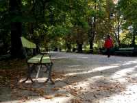 Beautiful autumn in Ujazdowski Park 🗺️