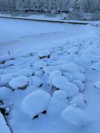 【北極圈的雪景：令人流連忘返！】