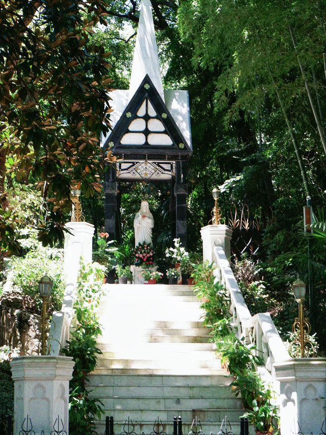 上海後花園，夏日避暑森林氧吧