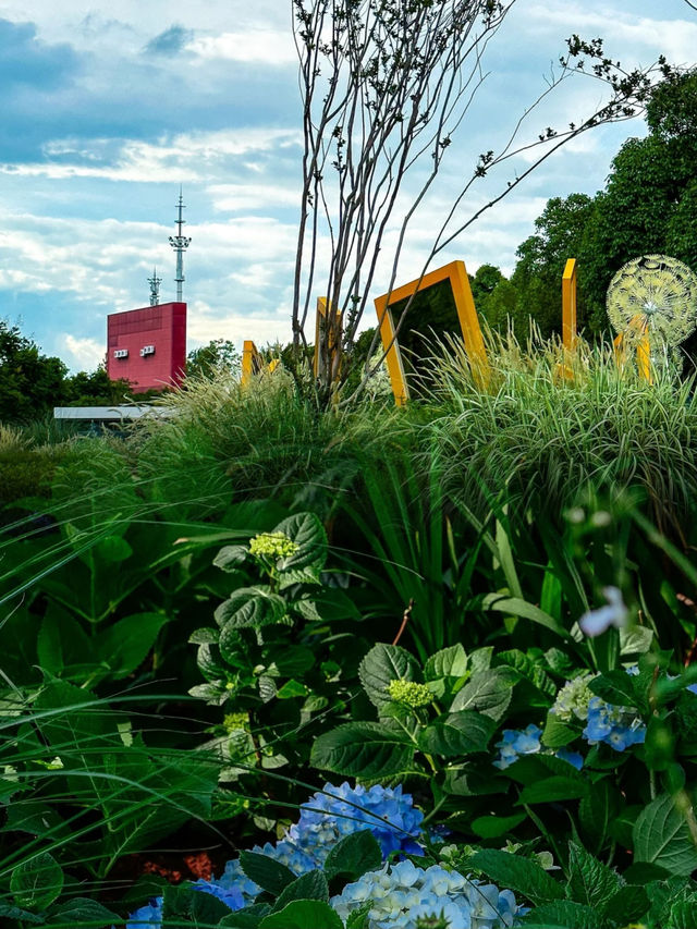 雲南省博物館小遊園，解鎖文化與自然的浪漫邂逅