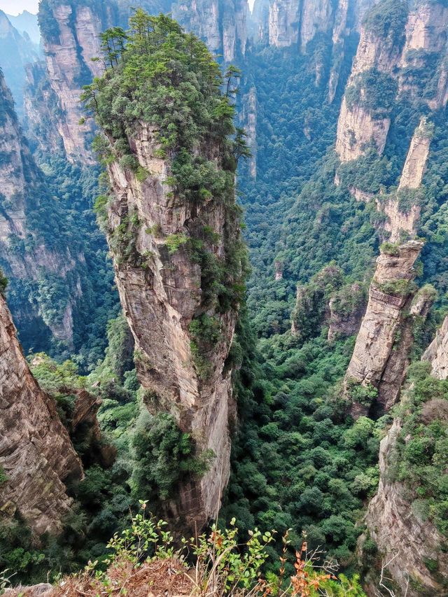 冬遊長沙-張家界-鳳凰 美得令人驚嘆，不容錯過。