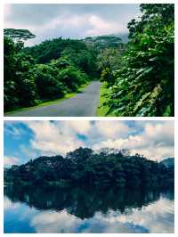 夏威夷可愛島，明信片級別的山水美景