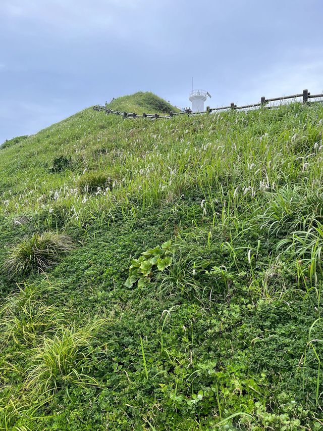 一定要去韓國濟州寶藏海島真的不要太美