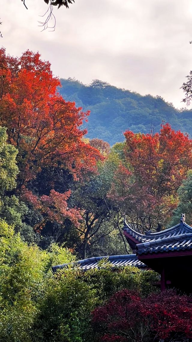 除了靈隱寺，竟然還有隱藏得這麼深的寶藏寺廟