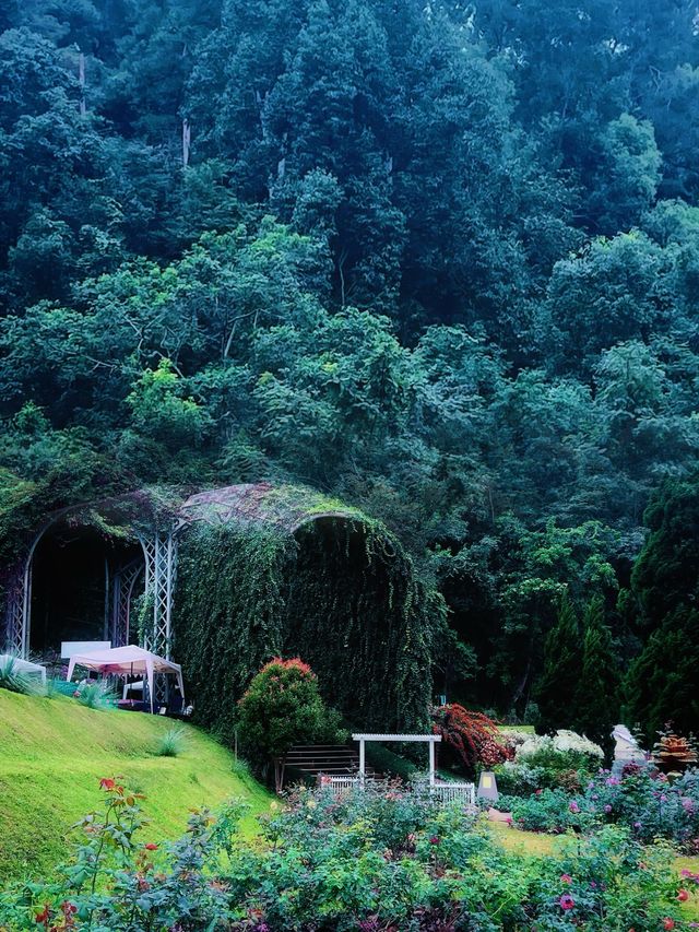 清邁親子遊 依山而建的詩麗吉皇后植物園妥妥的大氧吧