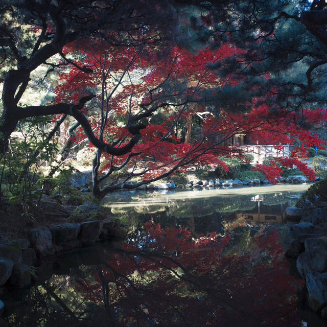 京都平安神宮：歷史與雄偉交織的神聖殿堂