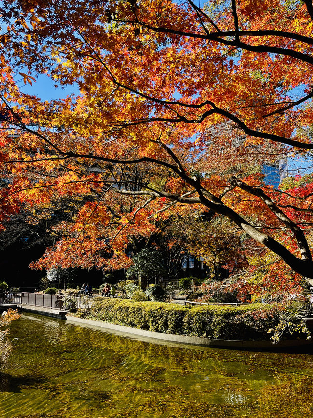 日本·橫濱