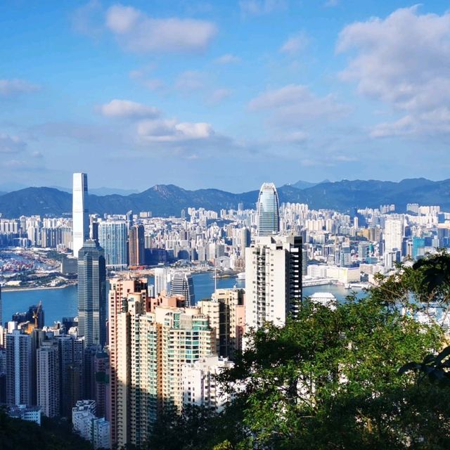 香港大學•龍虎山•太平山頂