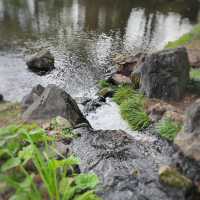 薬草で知られる美しい庭園