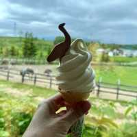 Niseko Ostrich Farm with fun aggressive birds, Niseko, Hokkaido 