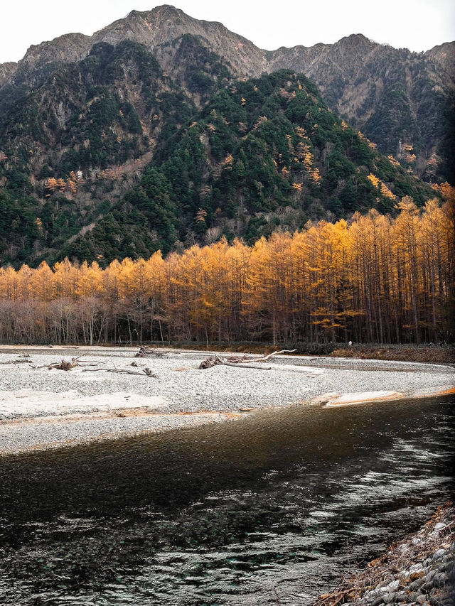 Lost in Kamikochi ในฤดูใบไม้เปลี่ยนสี🍁