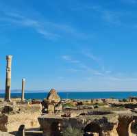 Unveiling Ancient Splendor: Les Ruines de Carthage