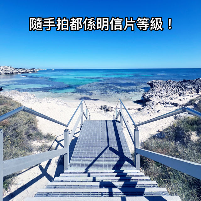 第三次探訪 Rottnest Island：美景與騎行的絕佳體驗