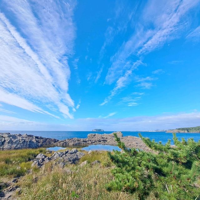 濟洲島柱狀節理帶🏞️天帝淵瀑布📸鳥島新緣橋🌁龍淵峽谷👣熱門打卡景點介紹👍