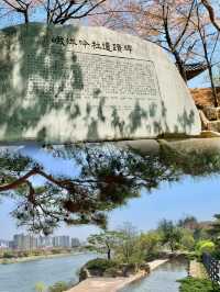 Spring Serenity: Walking Along Geumho River in Daegu