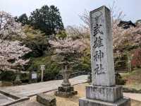 九州武雄神社：賞櫻花、看神木的人氣No.1免費景點