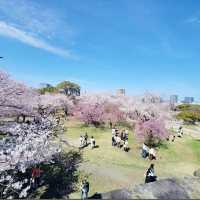 《探索福岡的綠洲——舞鶴公園之旅》