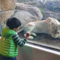 沖繩兒童樂園